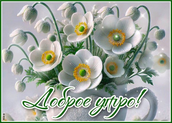 file_99113260
