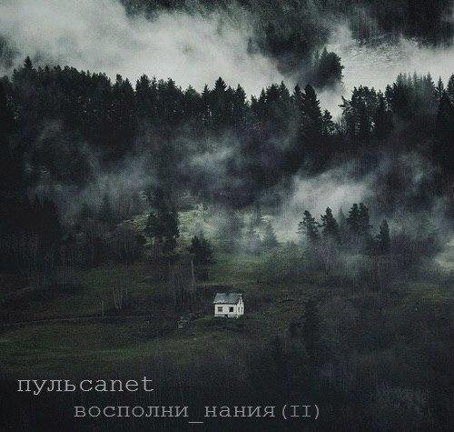 пульсаnet. восполни нания
