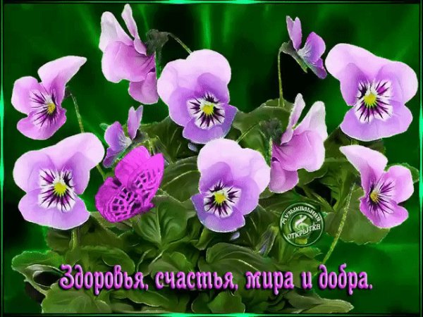 Здоровья счастья мира и добра!
