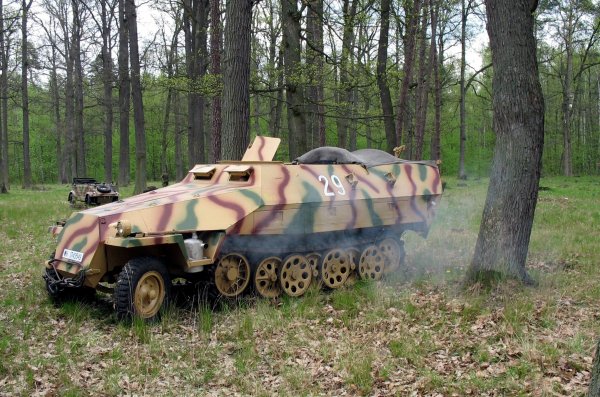 SdKfz251RosiMR200802