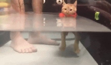 bb776d1cfa6a370ed5e1eec3587161cefab178e2caac8794c644fc8ac32a0