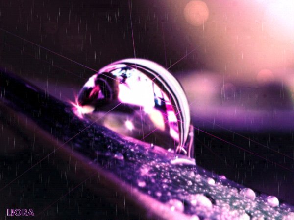 file_78057366
