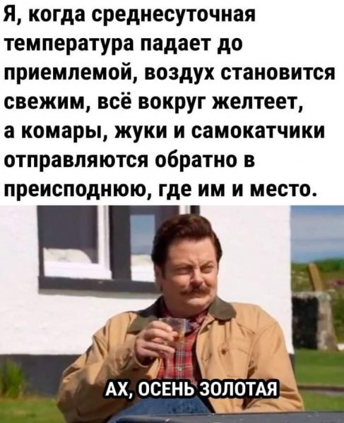 FB IMG 1729429384053