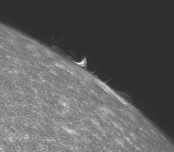 Apollo-Lasky-solstice-blast-crop 1655844683 lg