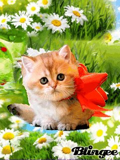 file_61786249