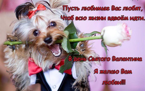 Св.В