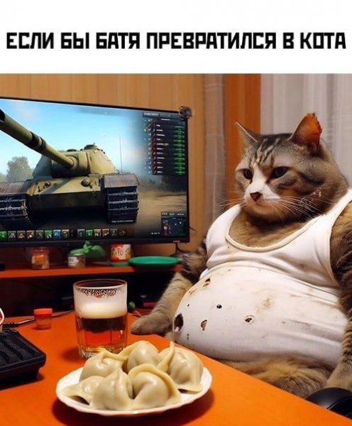IMG 20231119 222353 551