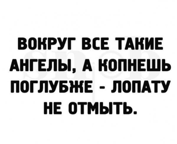IMG-20220812-WA0773