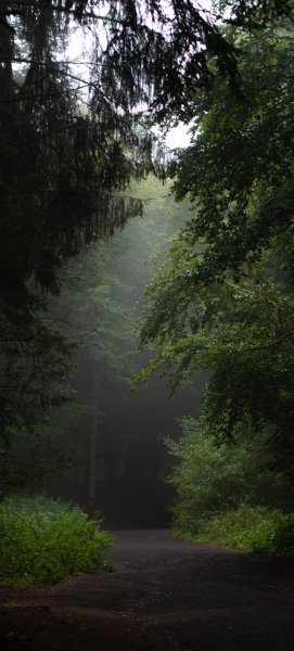 file_100863064