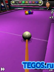 3D World Championship Pool 2010 240x320