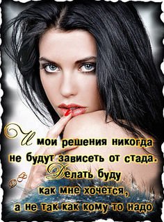 file_64404277