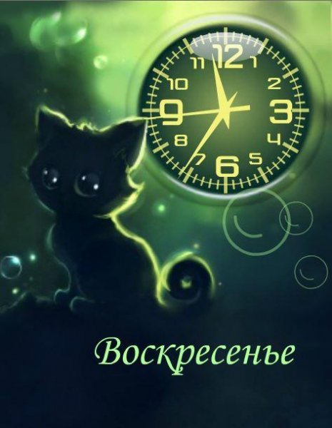 Cats (DarkLassie)