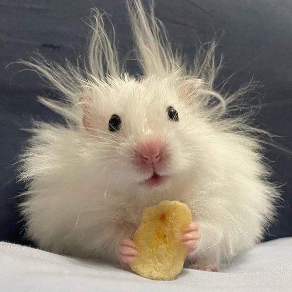 B67e2f61ea4a14e4df0dfb7f8d7fbdb3