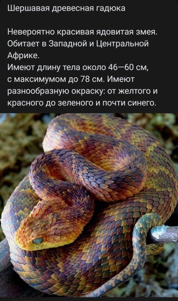 file_90936606