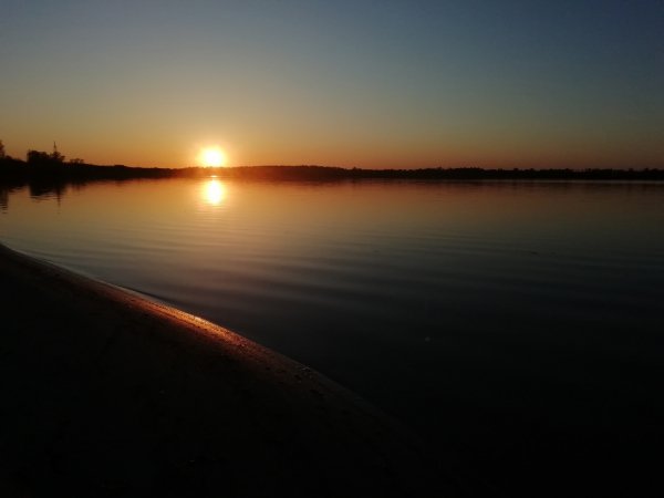 file_92399044