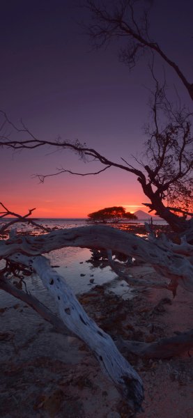 file_95017599