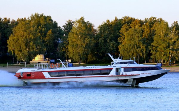 IMG viter59 185804