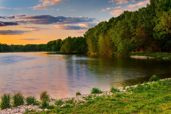 Les-vodoem-bereg-leto-derevia-trava