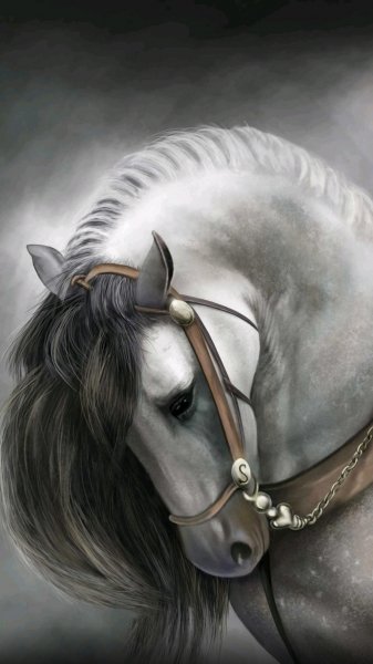 af15638e2c50001653b03wallPaper