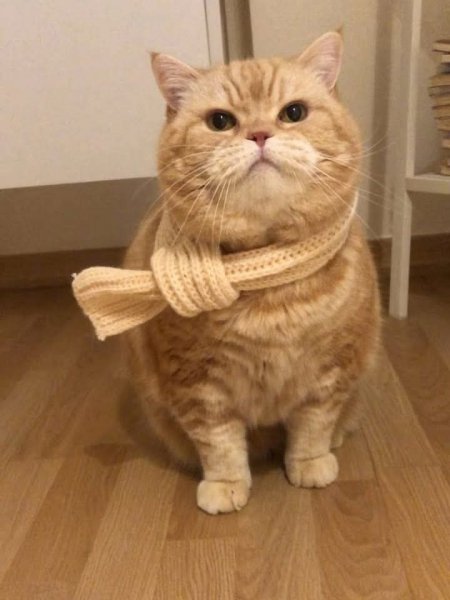 FB IMG 1771321122497