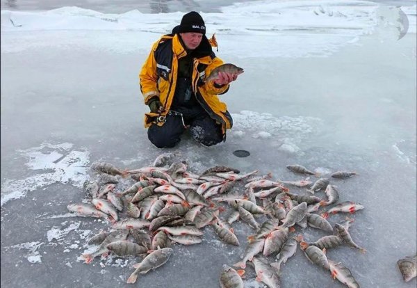 IMG 20231217 082052 410