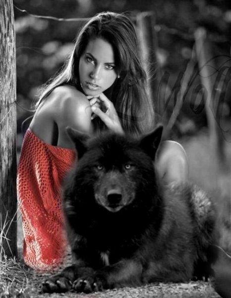 54a57caa9e72dcdc50b7db1c242c61b6