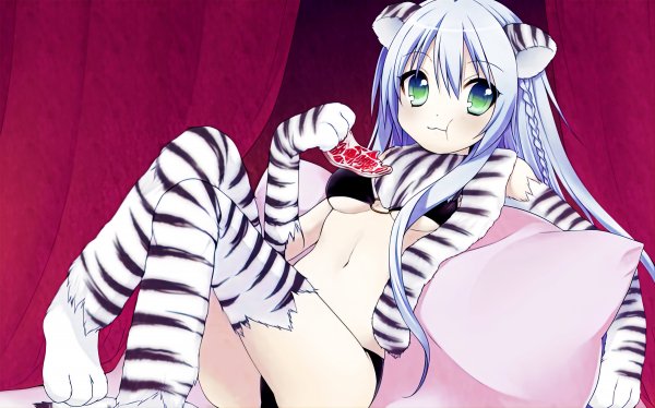 file_86307593