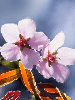 file_62890636