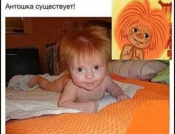 FB IMG 1778007413420