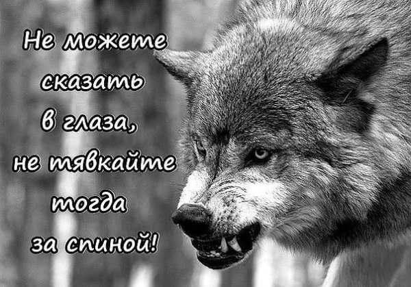 Откровенно