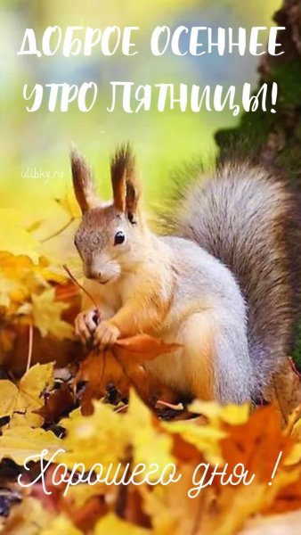file_91597039
