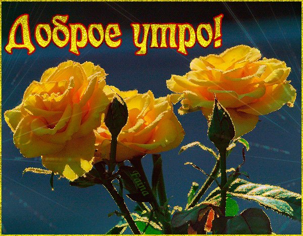 Анимированная открытка доброе утро семья