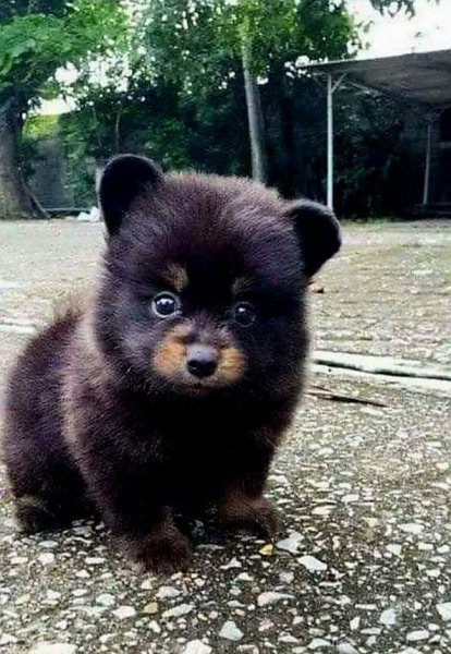 FB IMG 1753683391844