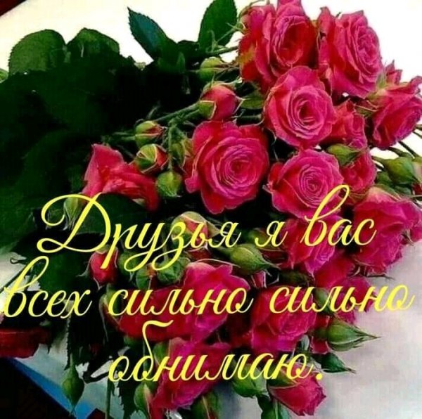3XDSeAb8XiQ