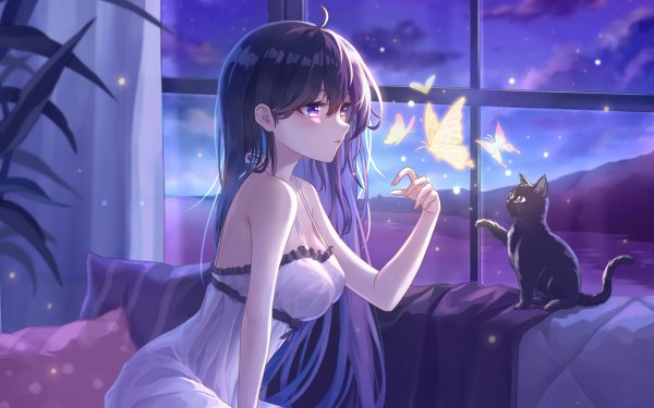 Anime Girl With Cats