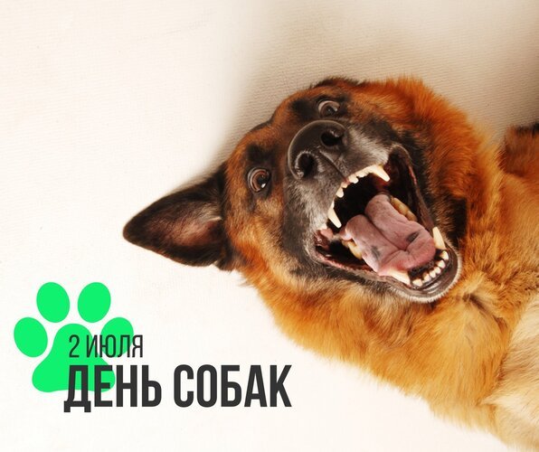 Открытка 2 июля день собак