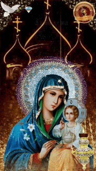 GIF 20240827 235240 070