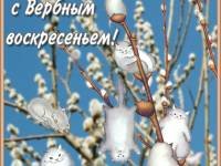 Вербное воскресение 4