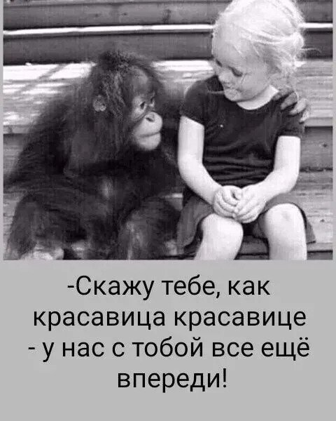 file_102524987