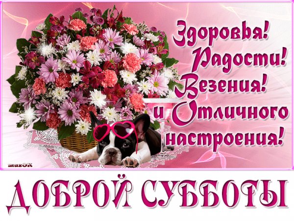 file_66464832