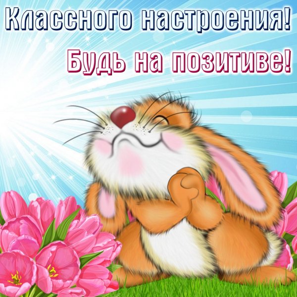 gV13yY5Htcg