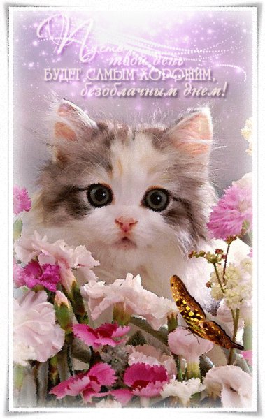 IMG 20190112 786101