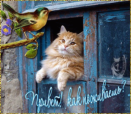 ac95e84a-25fe-3c79-89d8-0a142b87d08c