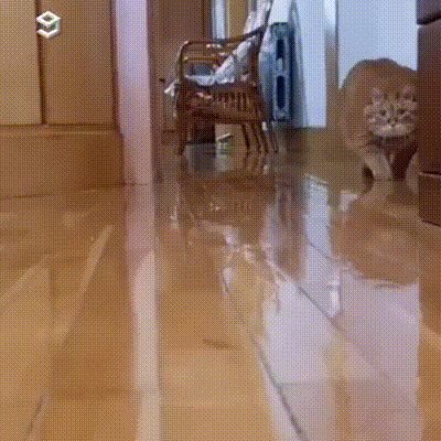 Охотник)