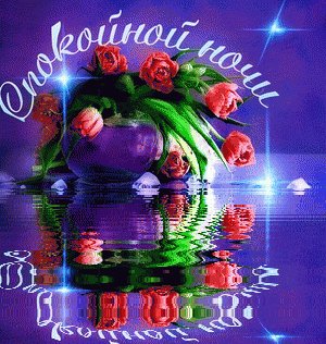 спокойной ночи