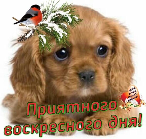 file_77029892