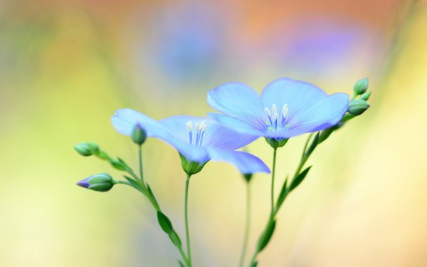 LIFEstyle News MiXture Images 1263 054