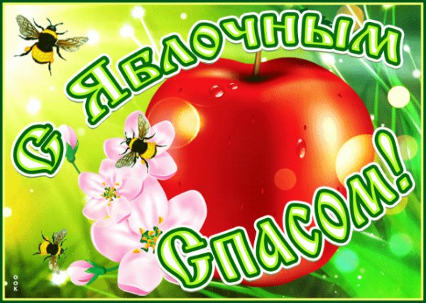 file_97488519