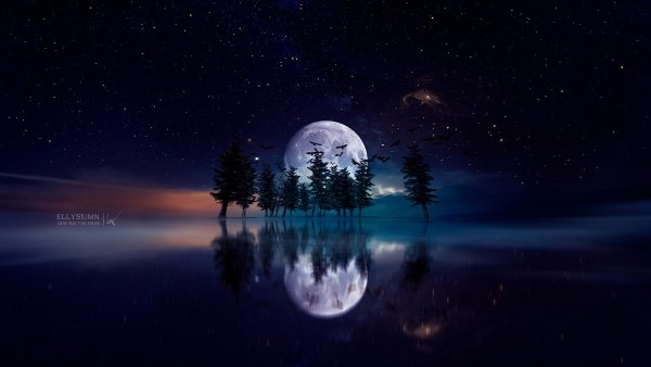 file_74630304