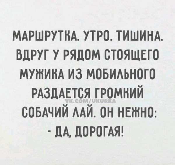 file_98082304